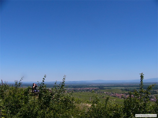 Gueberschwihr, vue sur la plaine