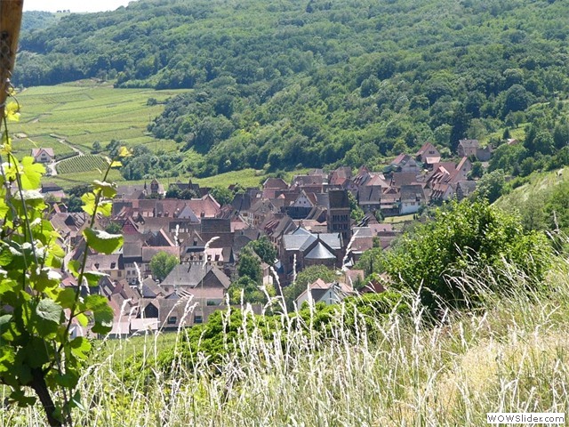 Gueberschwihr, vue du sentier viticole