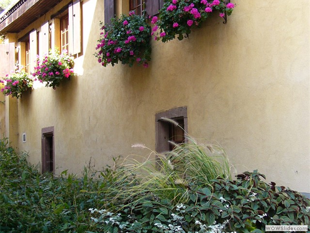 Gueberschwihr, village fleuri  