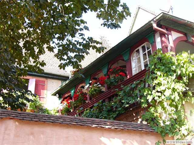 Gueberschwihr, village fleuri