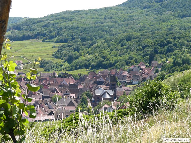 Gueberschwihr, vue du sentier viticole
