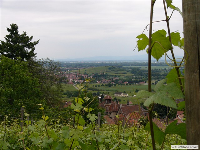 Gueberschwihr, sentier viticole